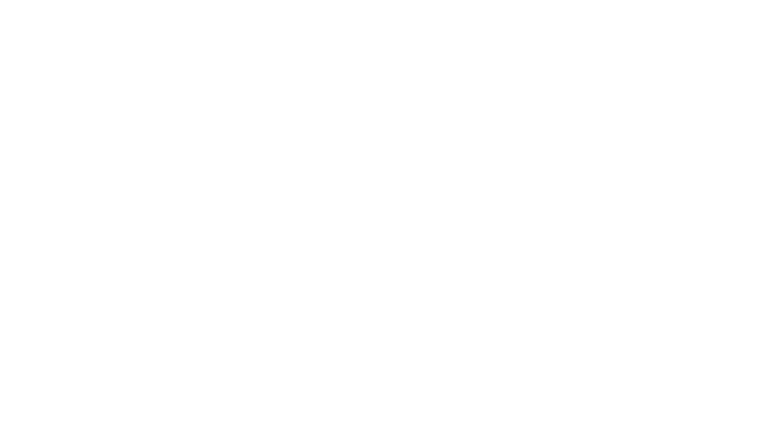 Semplicemente il migliore